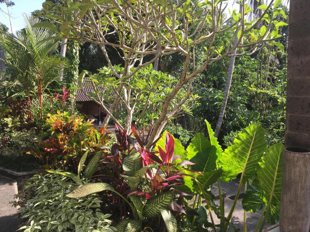 The Bali Shanti Ubud Eksteriør bilde
